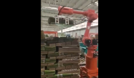 紙箱紙皮碼垛搬運(yùn)機(jī)器人應(yīng)用案例視頻
